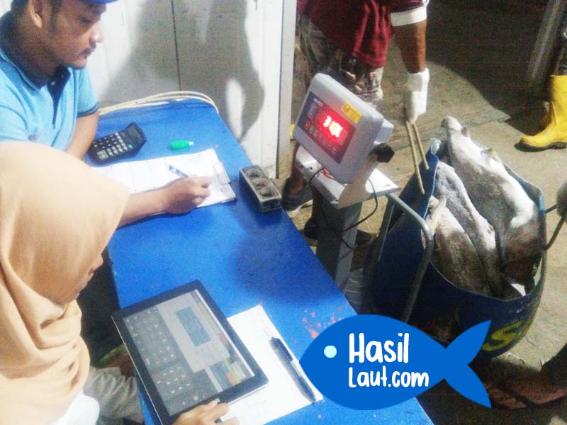 aplikasi timbang ikan - aplikasi pencatatan barang masuk keluar gudang cold storage