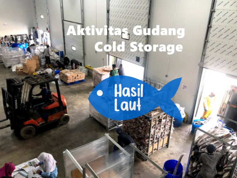 Gudang Beku Ikan Terintegrasi-Integrated Cold Storage (ICS) Jasa Titip Ikan gudang ikan, sewa cold storage, cold storage jakarta, rantai pasok, rantai pasok digital
