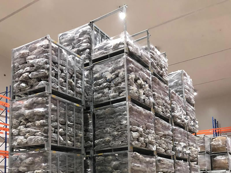 jasa sewa cold storage jakarta - gudang ikan jakarta muara baru
